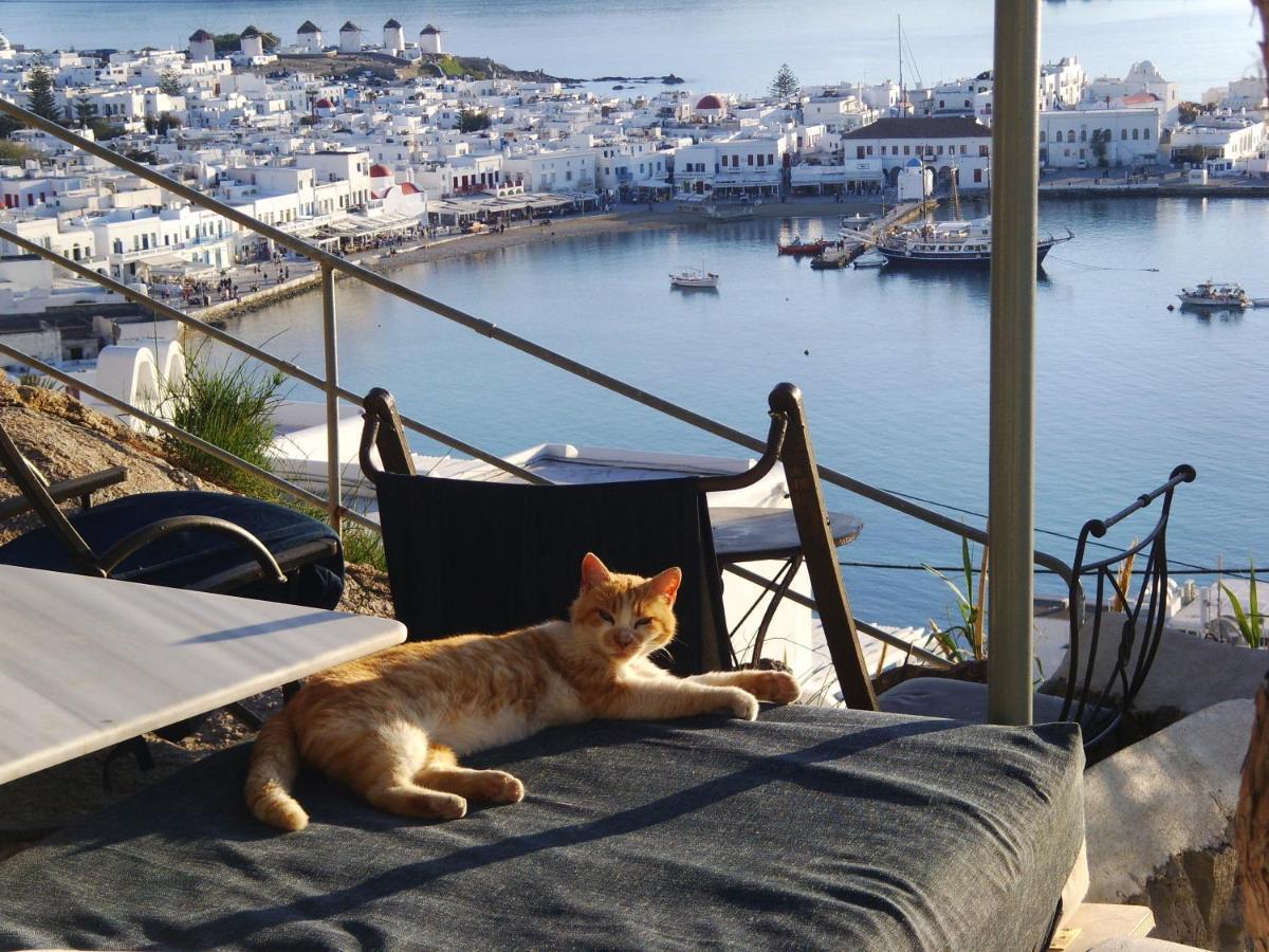 Anemones Sea View Apartment Mykonos Town Ngoại thất bức ảnh